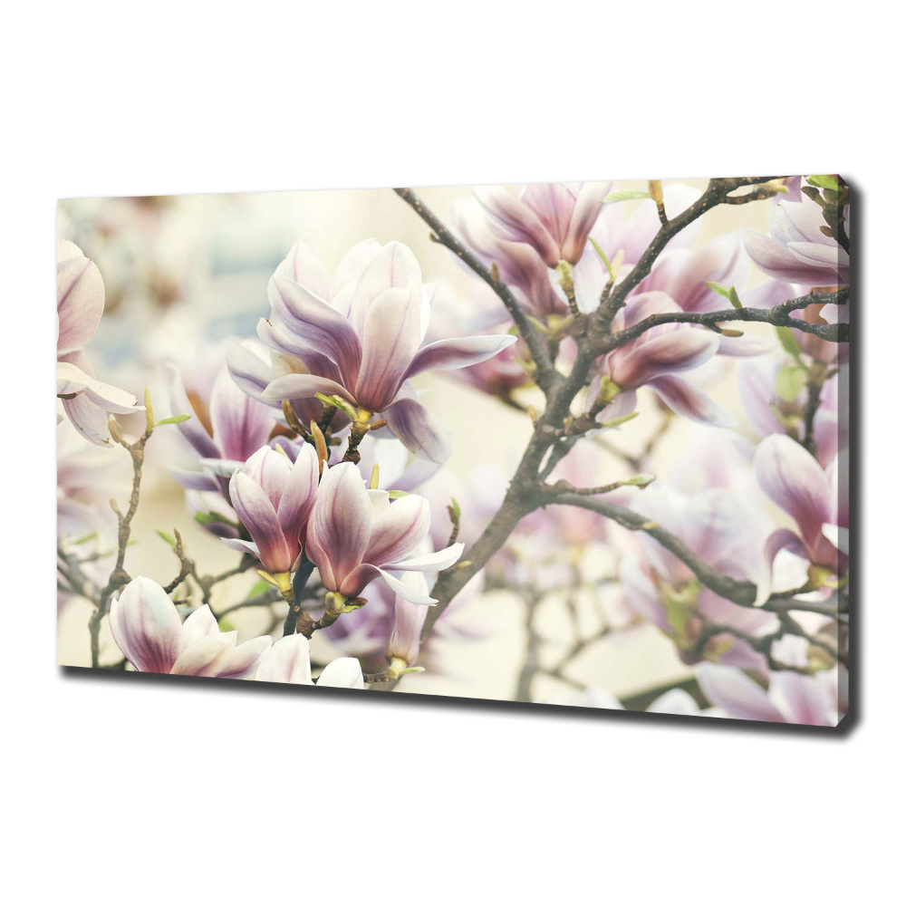 Canvas wall art Magnolia