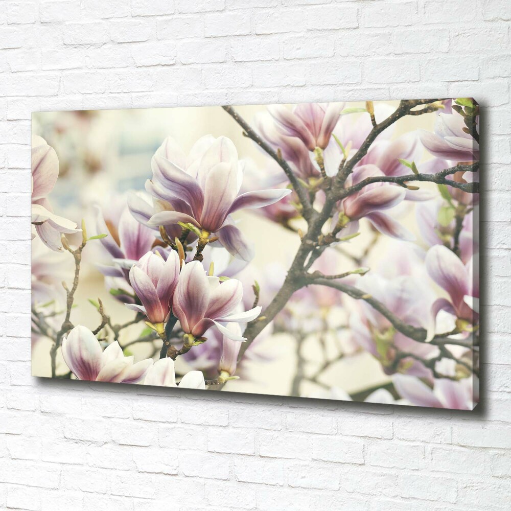 Canvas wall art Magnolia