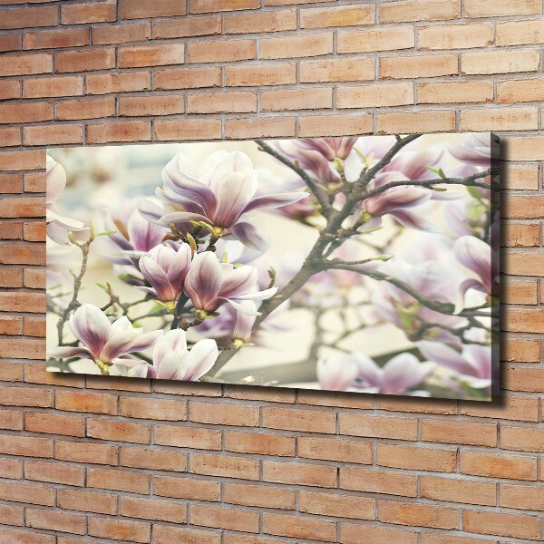 Canvas wall art Magnolia