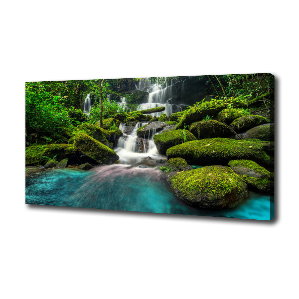 Waterfall in the jungle
