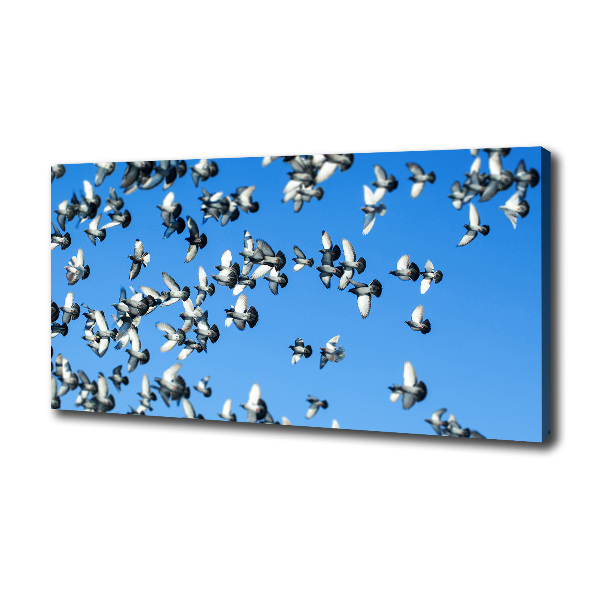 Canvas wall art Flock of pigeons