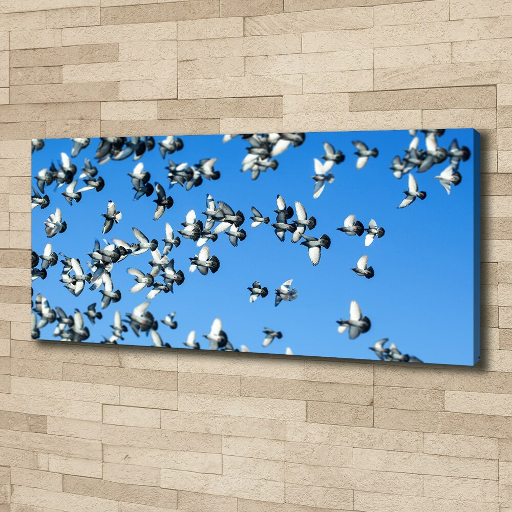 Canvas wall art Flock of pigeons