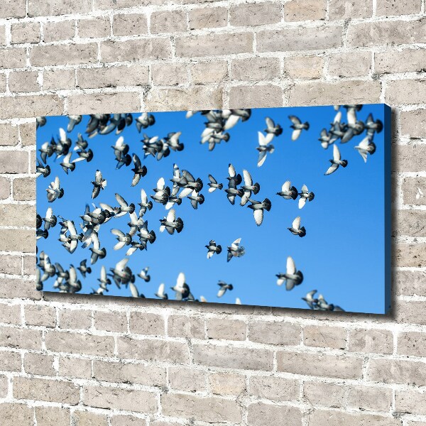 Canvas wall art Flock of pigeons