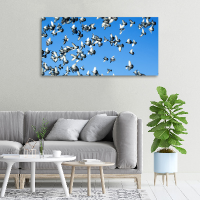 Canvas wall art Flock of pigeons