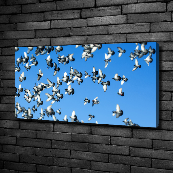 Canvas wall art Flock of pigeons