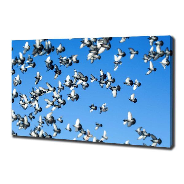 Canvas wall art Flock of pigeons