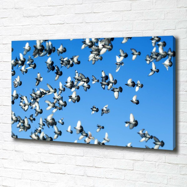 Canvas wall art Flock of pigeons