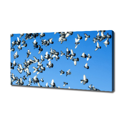 Canvas wall art Flock of pigeons