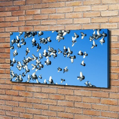 Canvas wall art Flock of pigeons