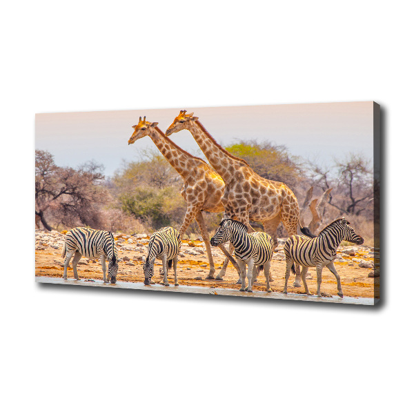 Canvas wall art Giraffes and zebra