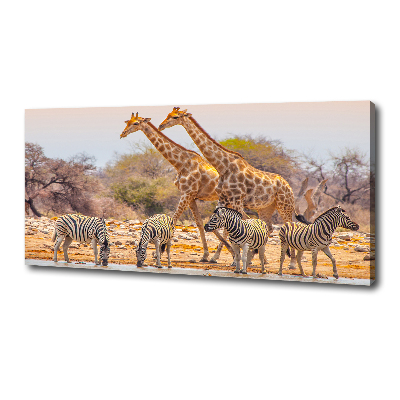 Canvas wall art Giraffes and zebra