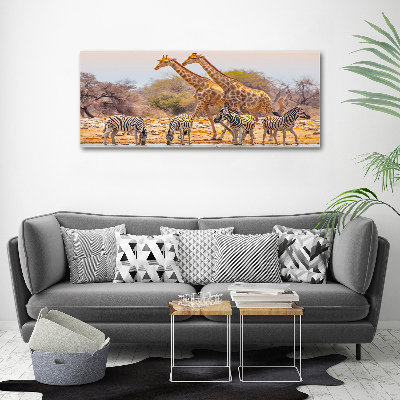 Canvas wall art Giraffes and zebra