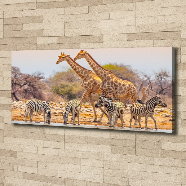 Canvas wall art Giraffes and zebra