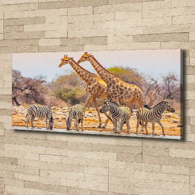 Canvas wall art Giraffes and zebra