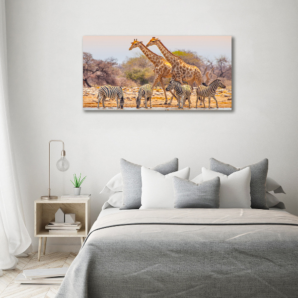 Canvas wall art Giraffes and zebra