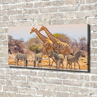 Canvas wall art Giraffes and zebra