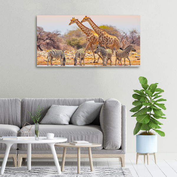 Canvas wall art Giraffes and zebra