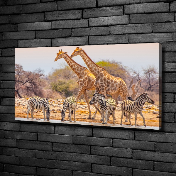 Canvas wall art Giraffes and zebra