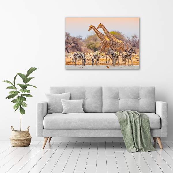 Canvas wall art Giraffes and zebra