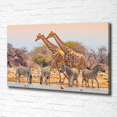 Canvas wall art Giraffes and zebra