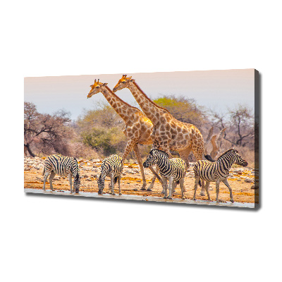 Canvas wall art Giraffes and zebra