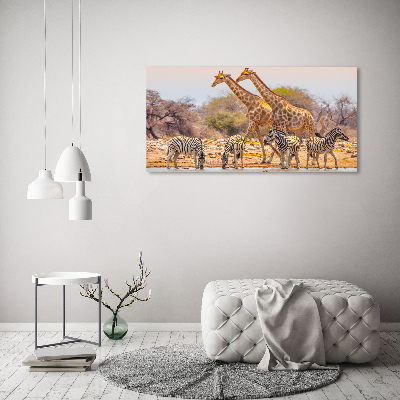 Canvas wall art Giraffes and zebra