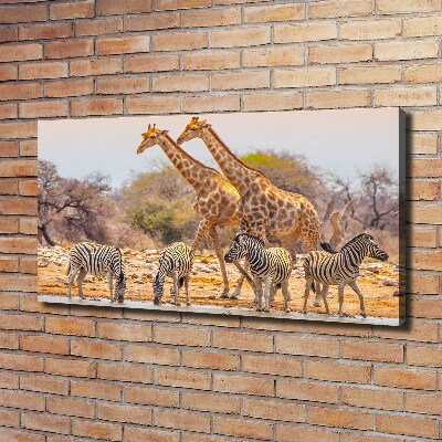 Canvas wall art Giraffes and zebra