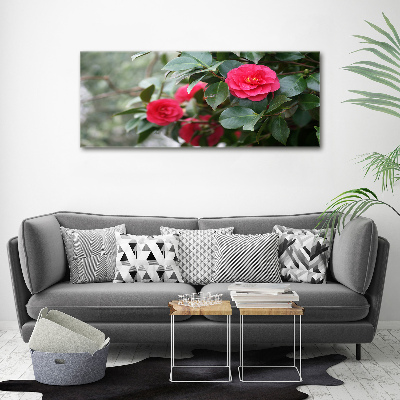 Canvas wall art Camellia