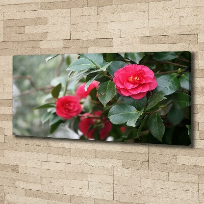 Canvas wall art Camellia