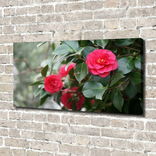 Canvas wall art Camellia