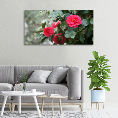 Canvas wall art Camellia