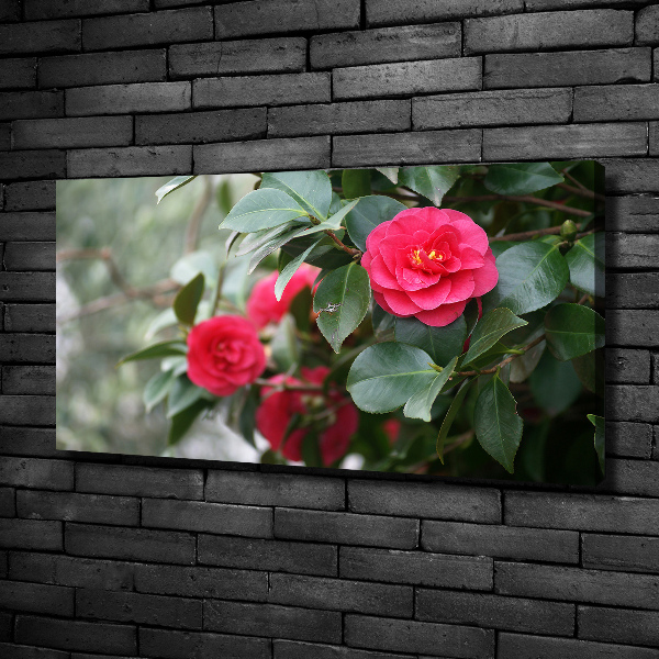 Canvas wall art Camellia