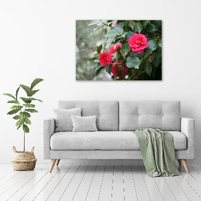 Canvas wall art Camellia