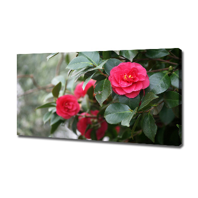 Canvas wall art Camellia