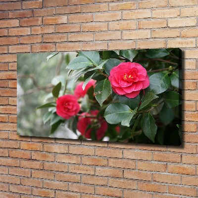 Canvas wall art Camellia