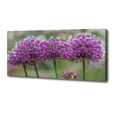 Canvas wall art Garlic flower