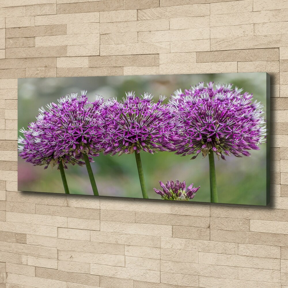 Canvas wall art Garlic flower