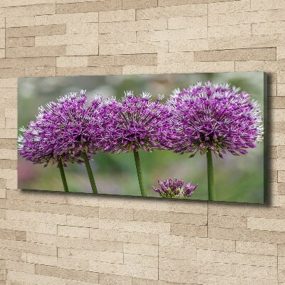 Canvas wall art Garlic flower