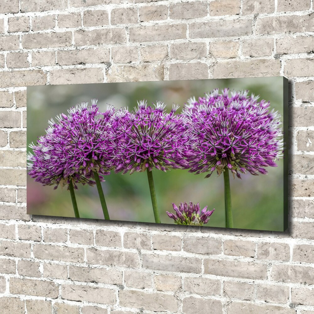 Canvas wall art Garlic flower