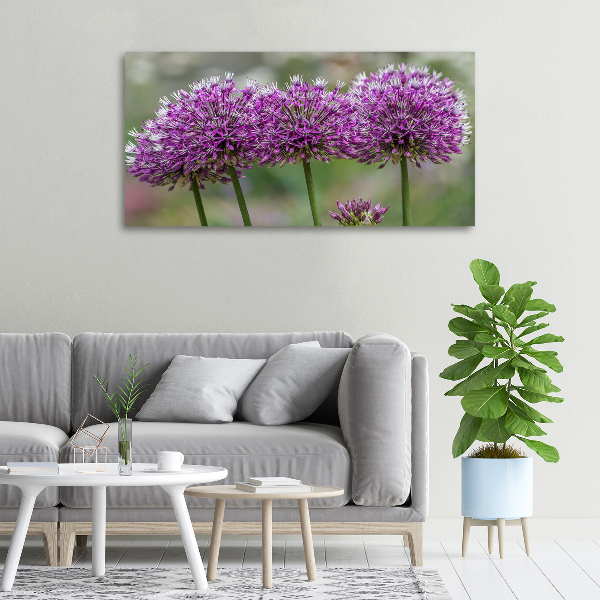 Canvas wall art Garlic flower