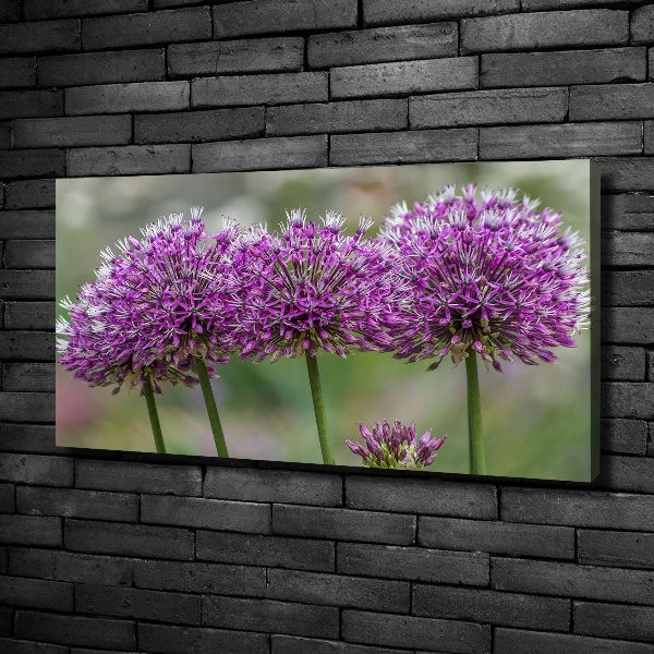 Canvas wall art Garlic flower