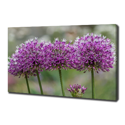 Canvas wall art Garlic flower