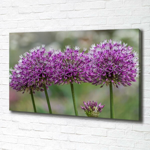 Canvas wall art Garlic flower