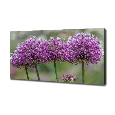 Canvas wall art Garlic flower