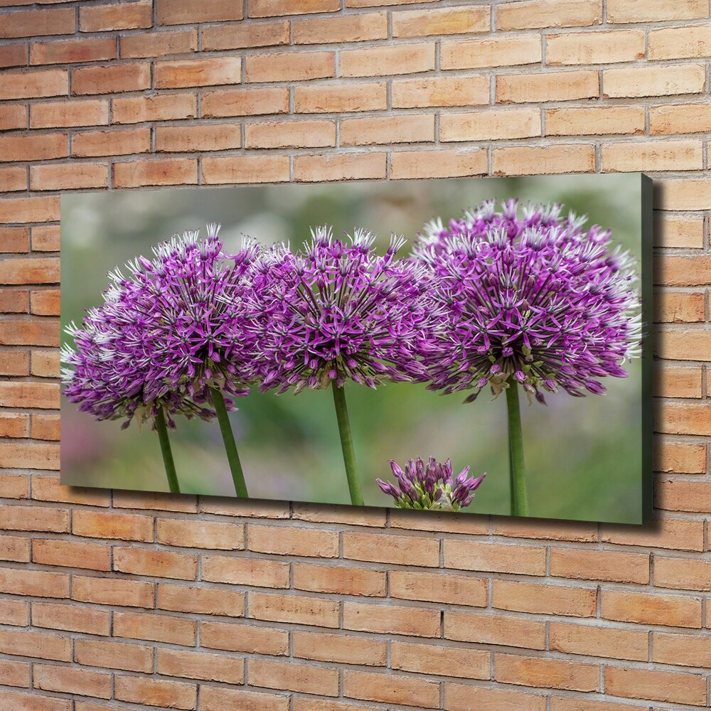 Canvas wall art Garlic flower