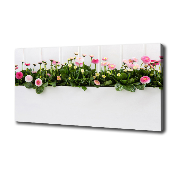 Canvas wall art Pink daisies