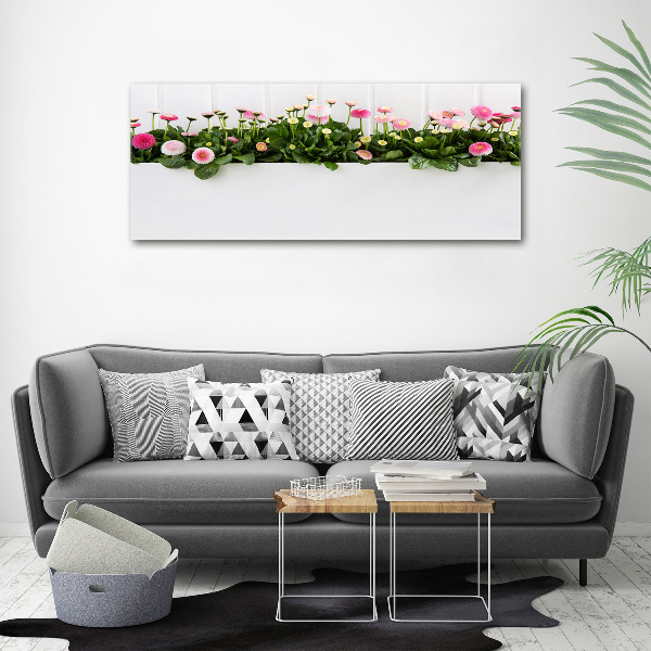 Canvas wall art Pink daisies