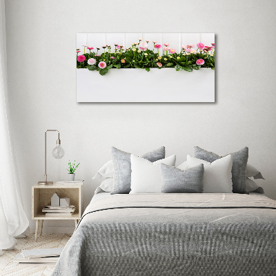 Canvas wall art Pink daisies