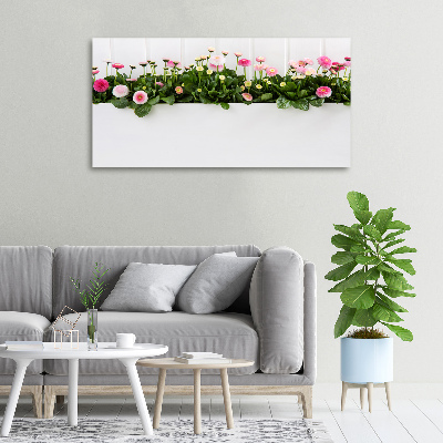 Canvas wall art Pink daisies