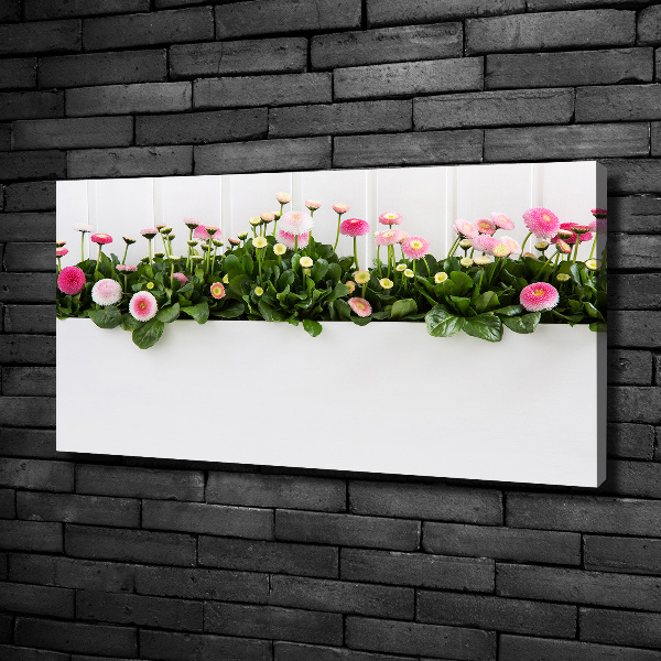 Canvas wall art Pink daisies